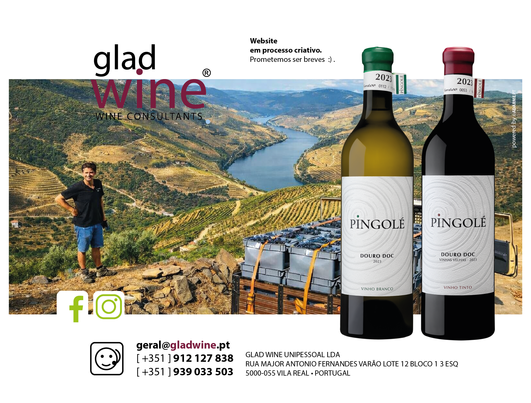 glad wine